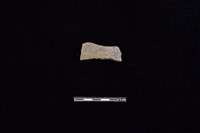 藏品(陶片)的圖片